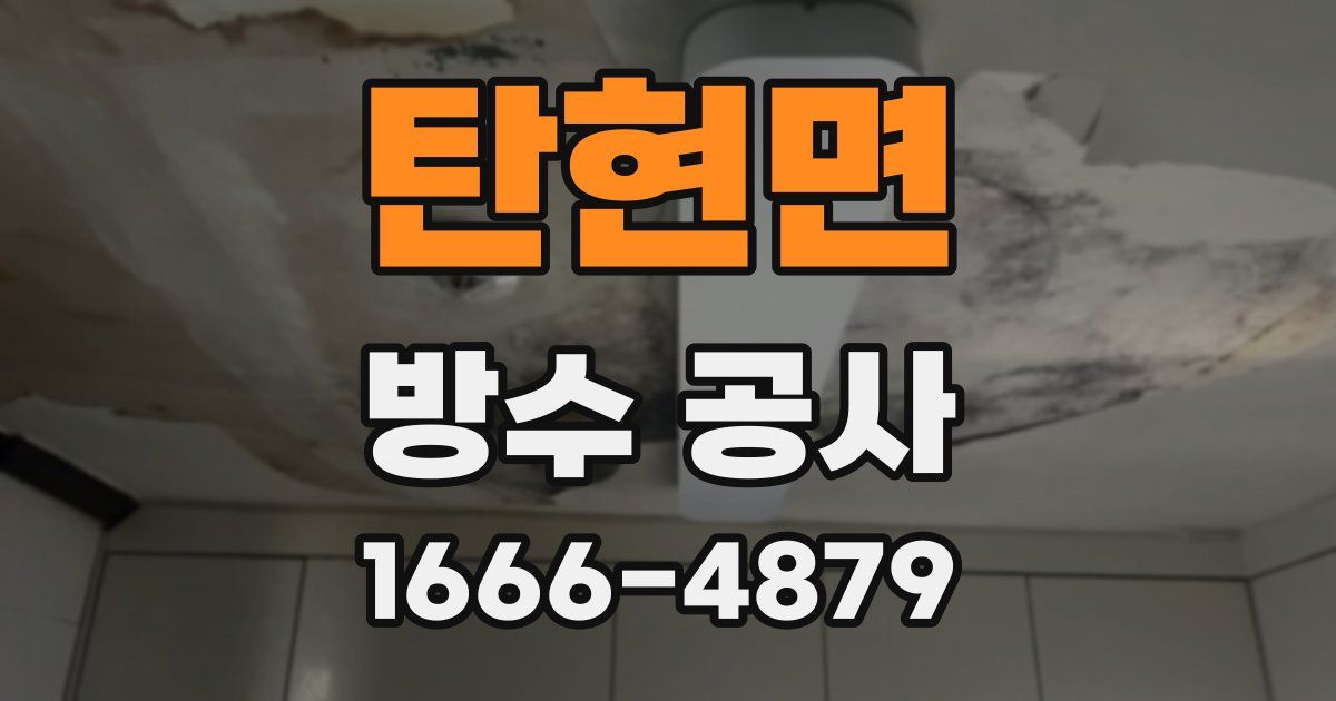 탄현면 방수 공사