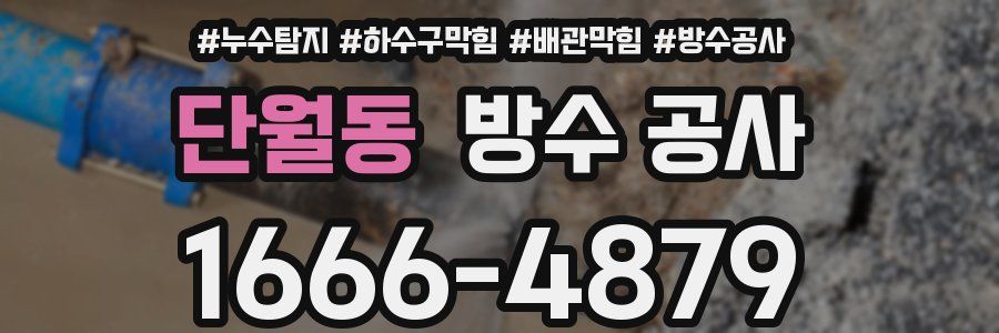 단월동 방수 공사