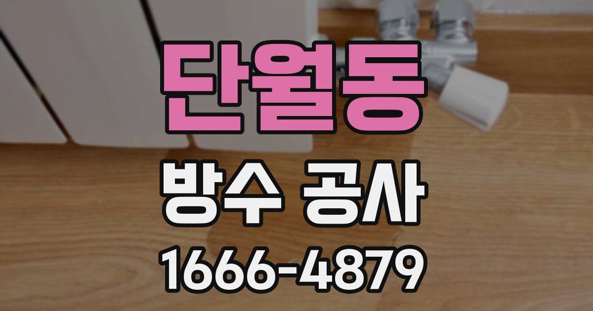 단월동 방수 공사