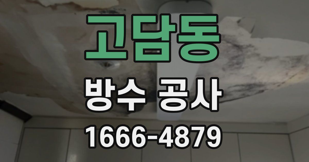 고담동 방수 공사