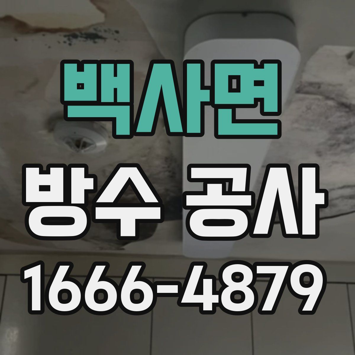 백사면 방수 공사