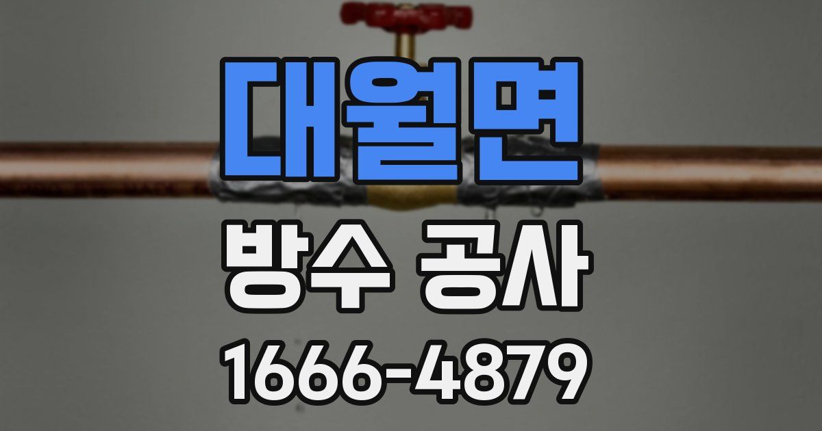 대월면 방수 공사