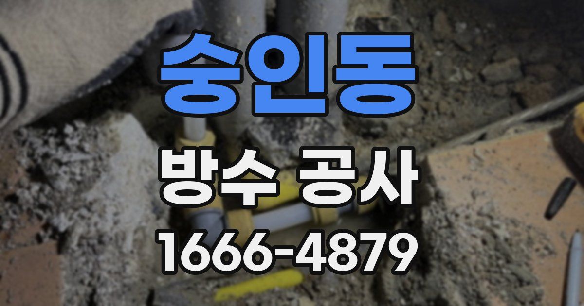 숭인동 방수 공사