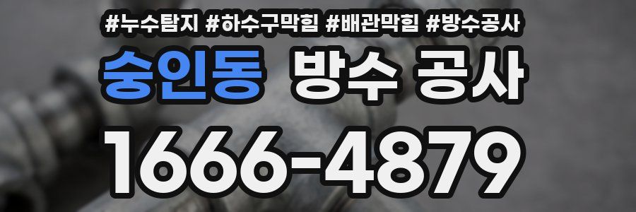 숭인동 방수 공사