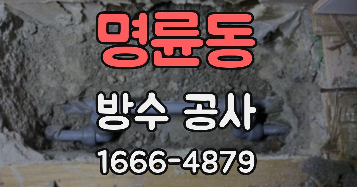 명륜동 방수 공사