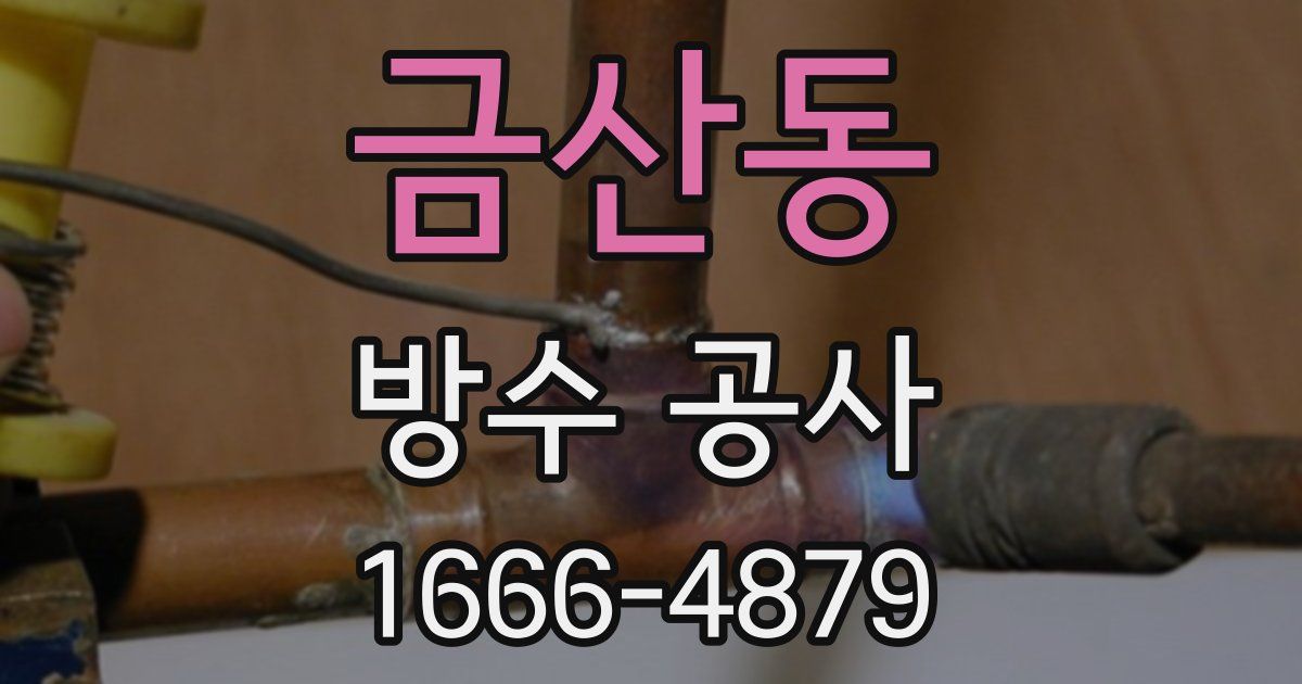 금산동 방수 공사