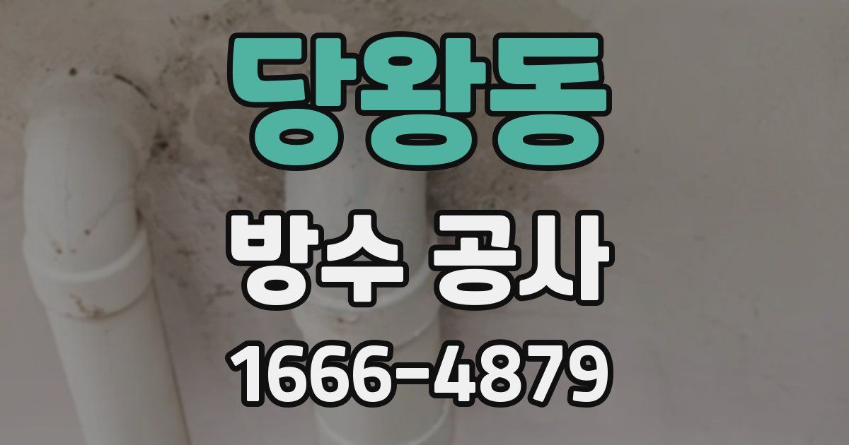 당왕동 방수 공사