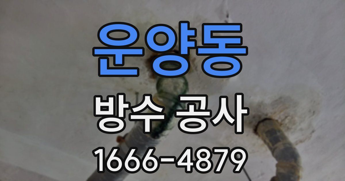 운양동 방수 공사