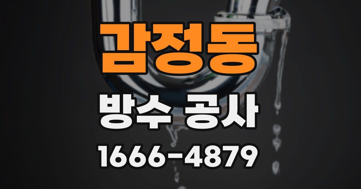 감정동 방수 공사