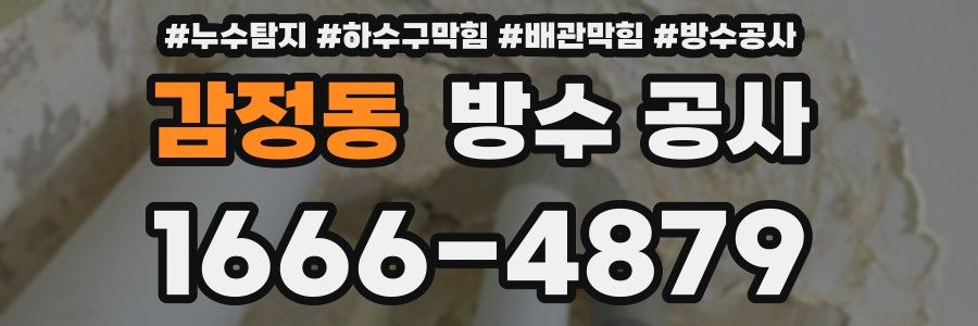 감정동 방수 공사