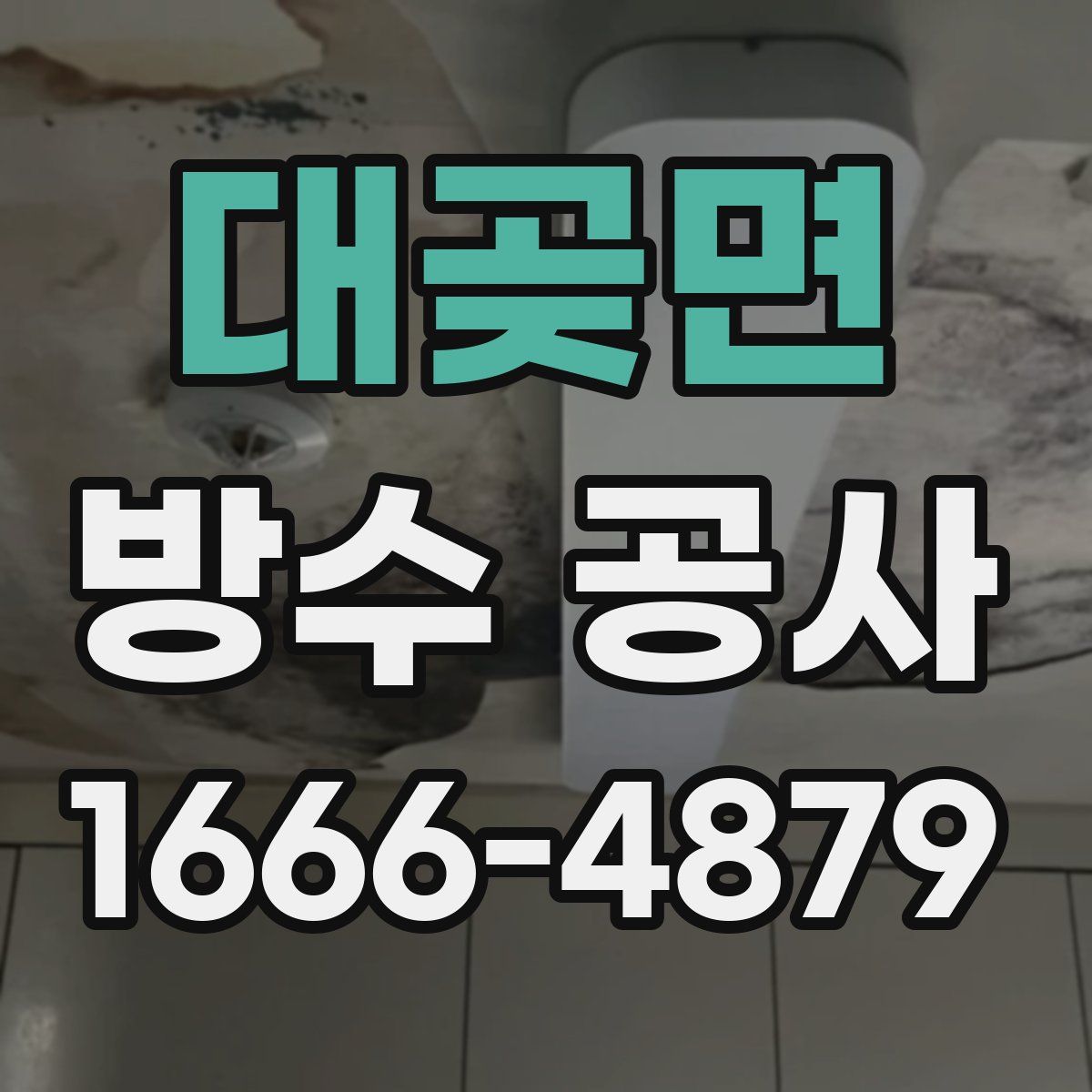 대곶면 방수 공사