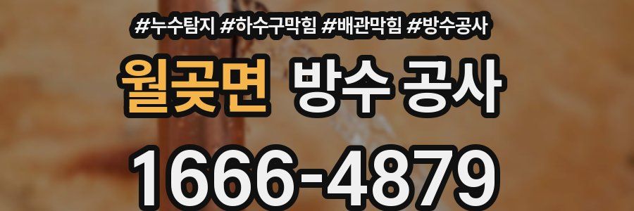 월곶면 방수 공사