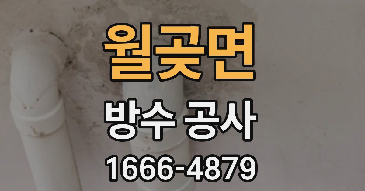 월곶면 방수 공사