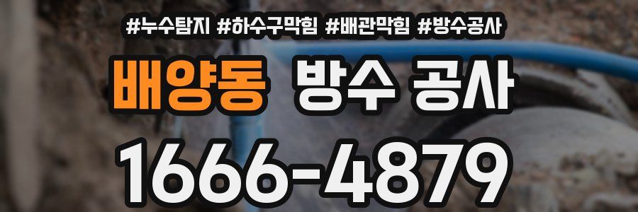 배양동 방수 공사