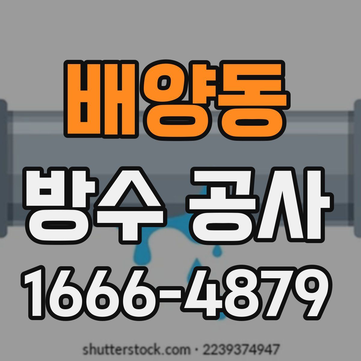 배양동 방수 공사