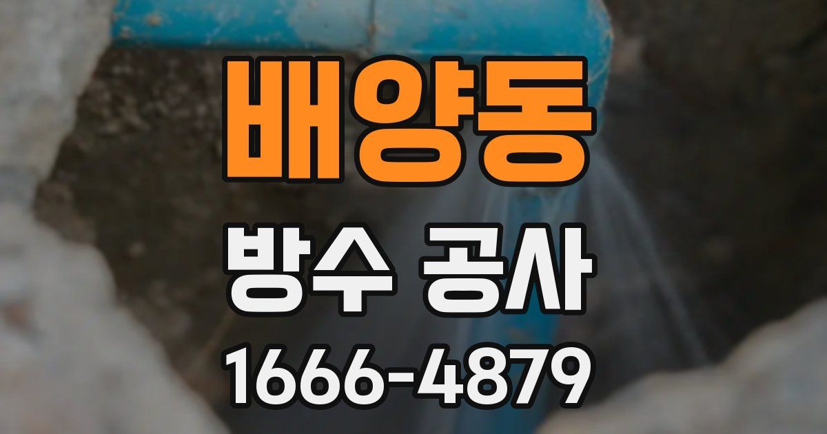 배양동 방수 공사