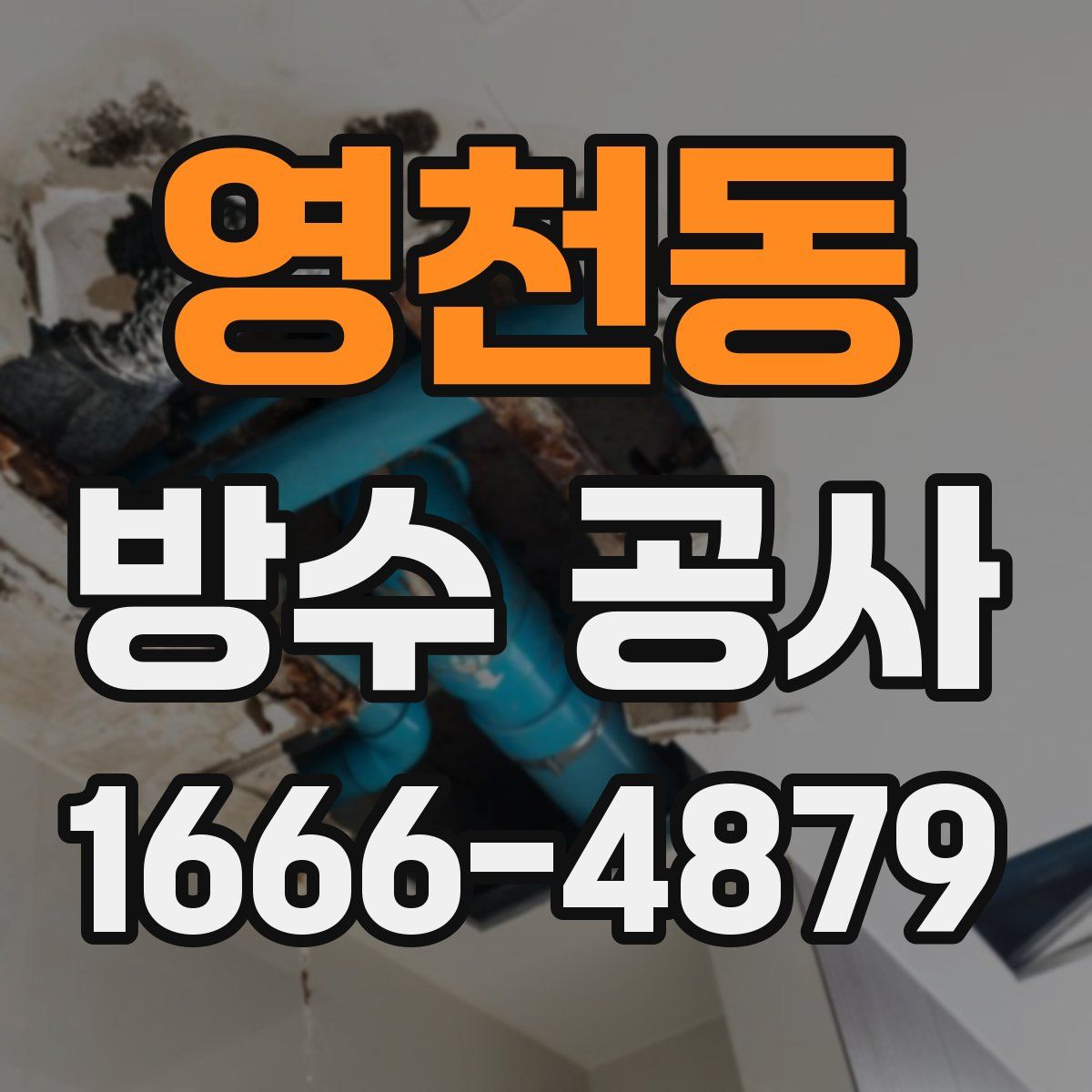 영천동 방수 공사