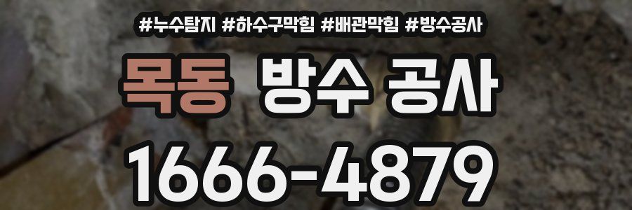 목동 방수 공사