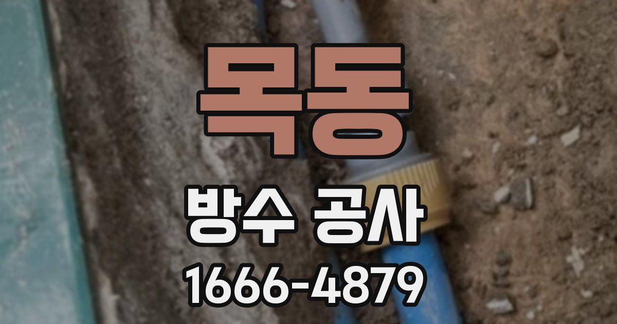 목동 방수 공사