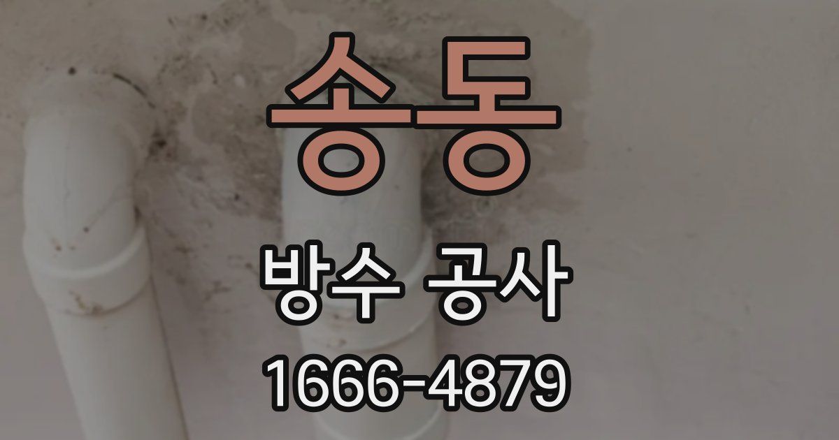 송동 방수 공사