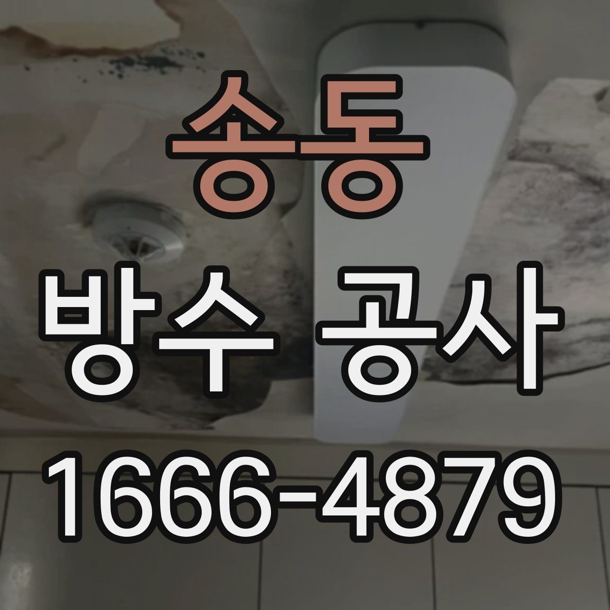송동 방수 공사