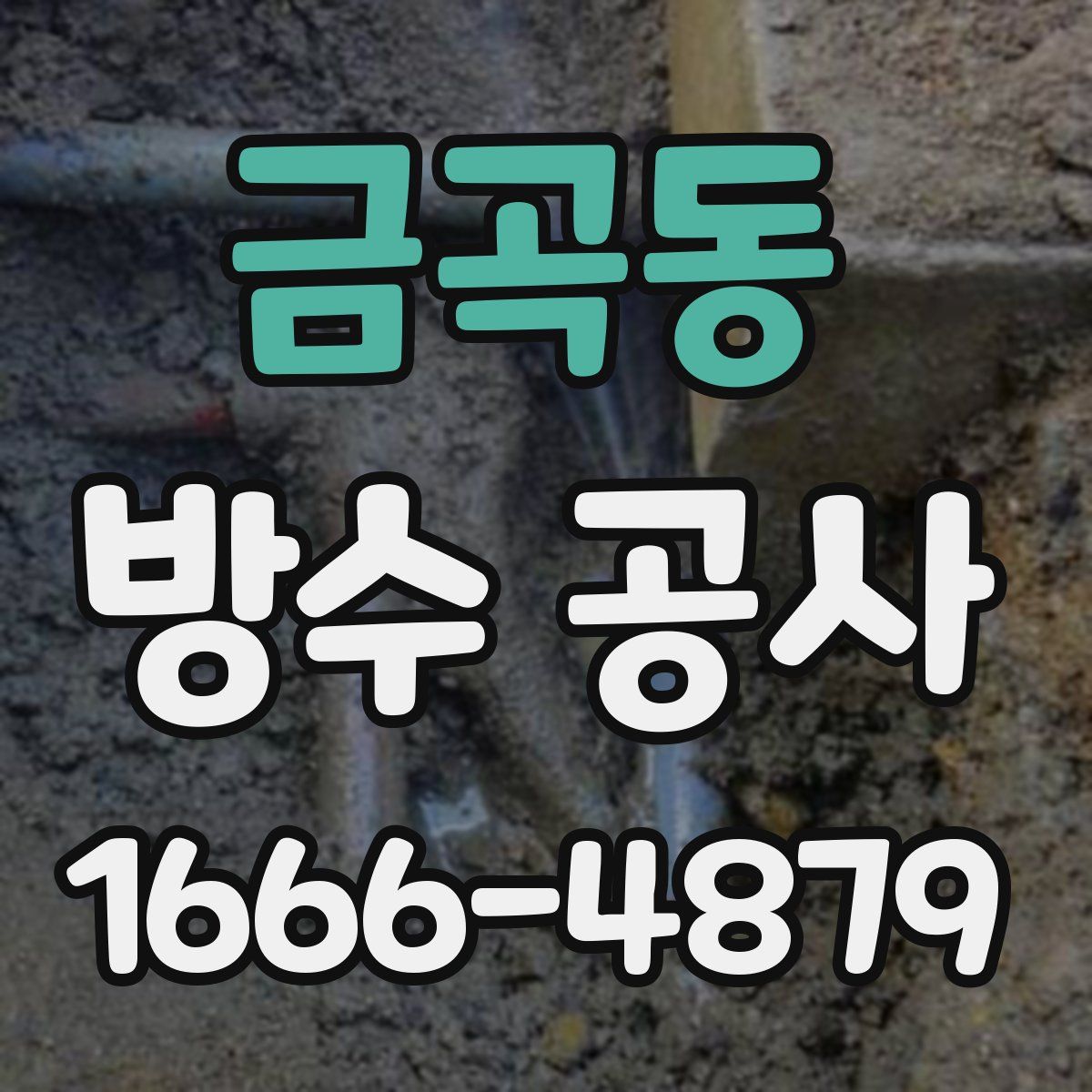 금곡동 방수 공사