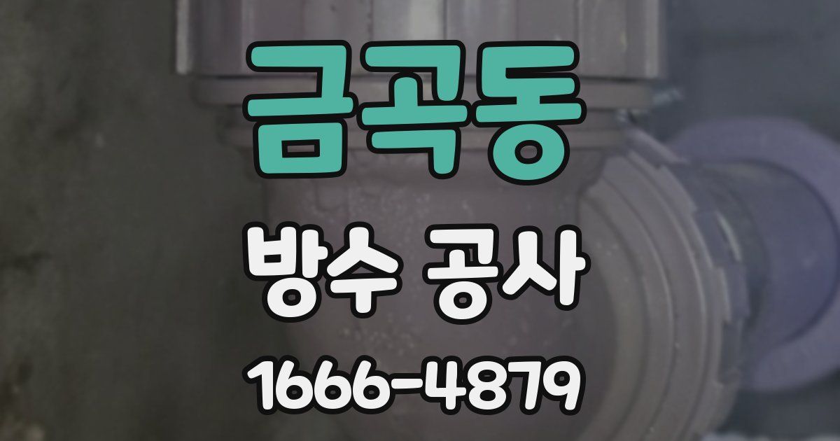 금곡동 방수 공사
