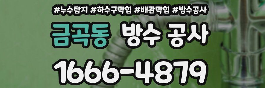 금곡동 방수 공사