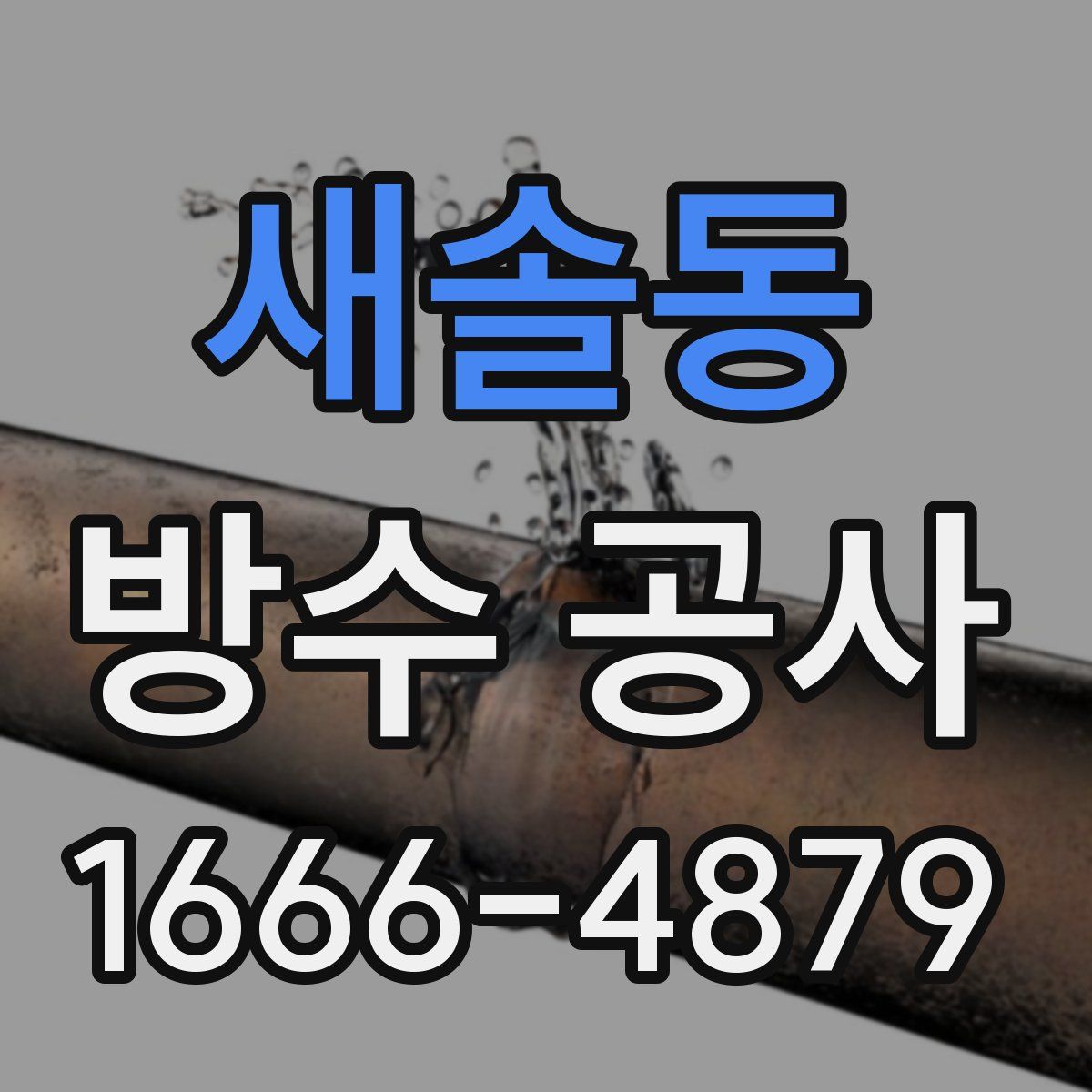 새솔동 방수 공사