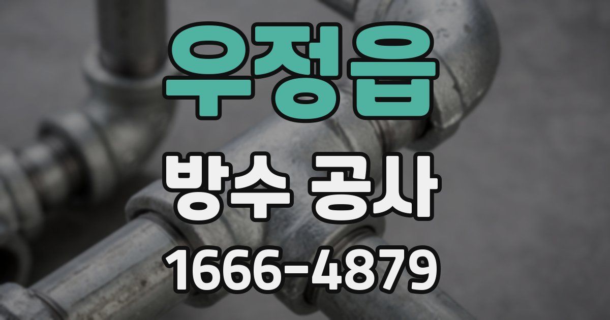 우정읍 방수 공사