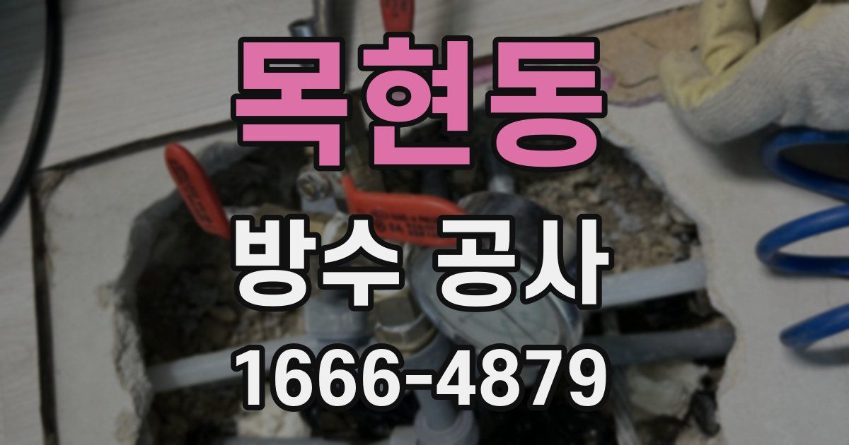 목현동 방수 공사