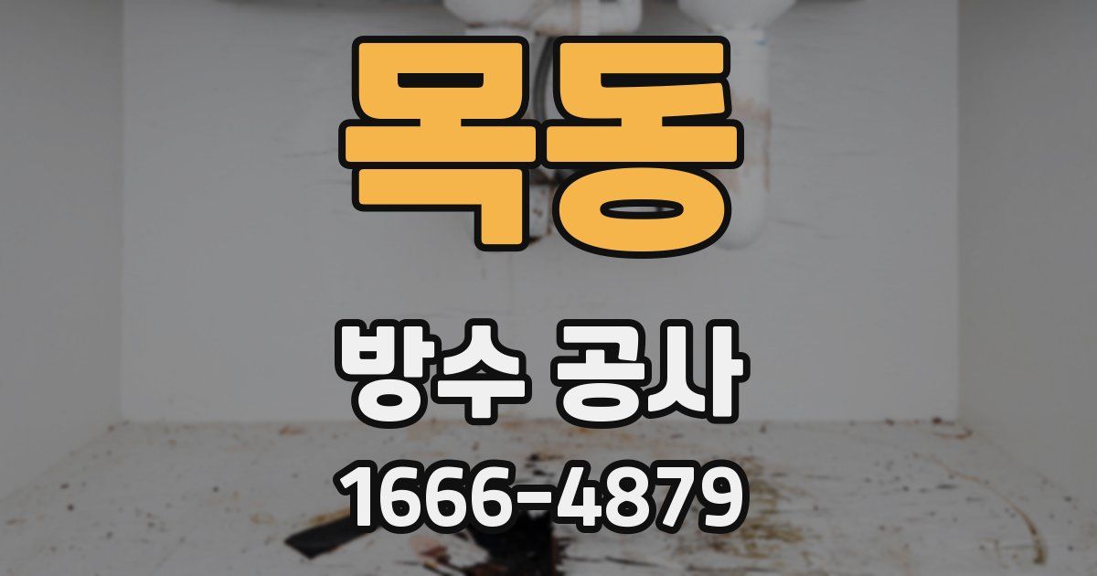 목동 방수 공사