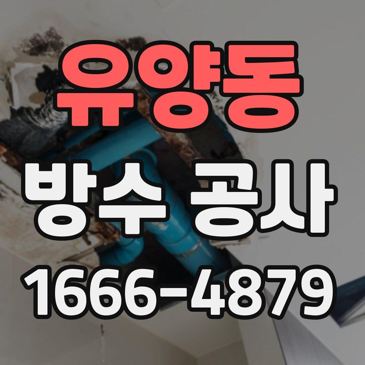 유양동 방수 공사