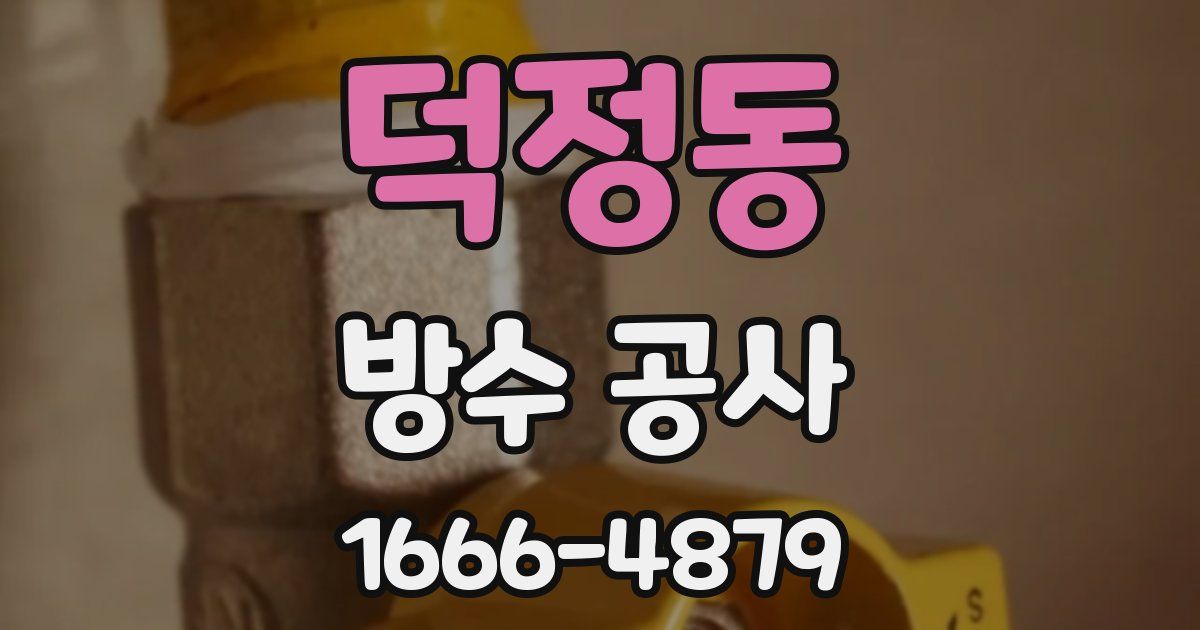 덕정동 방수 공사