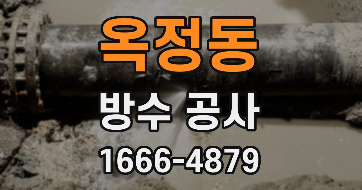 옥정동 방수 공사