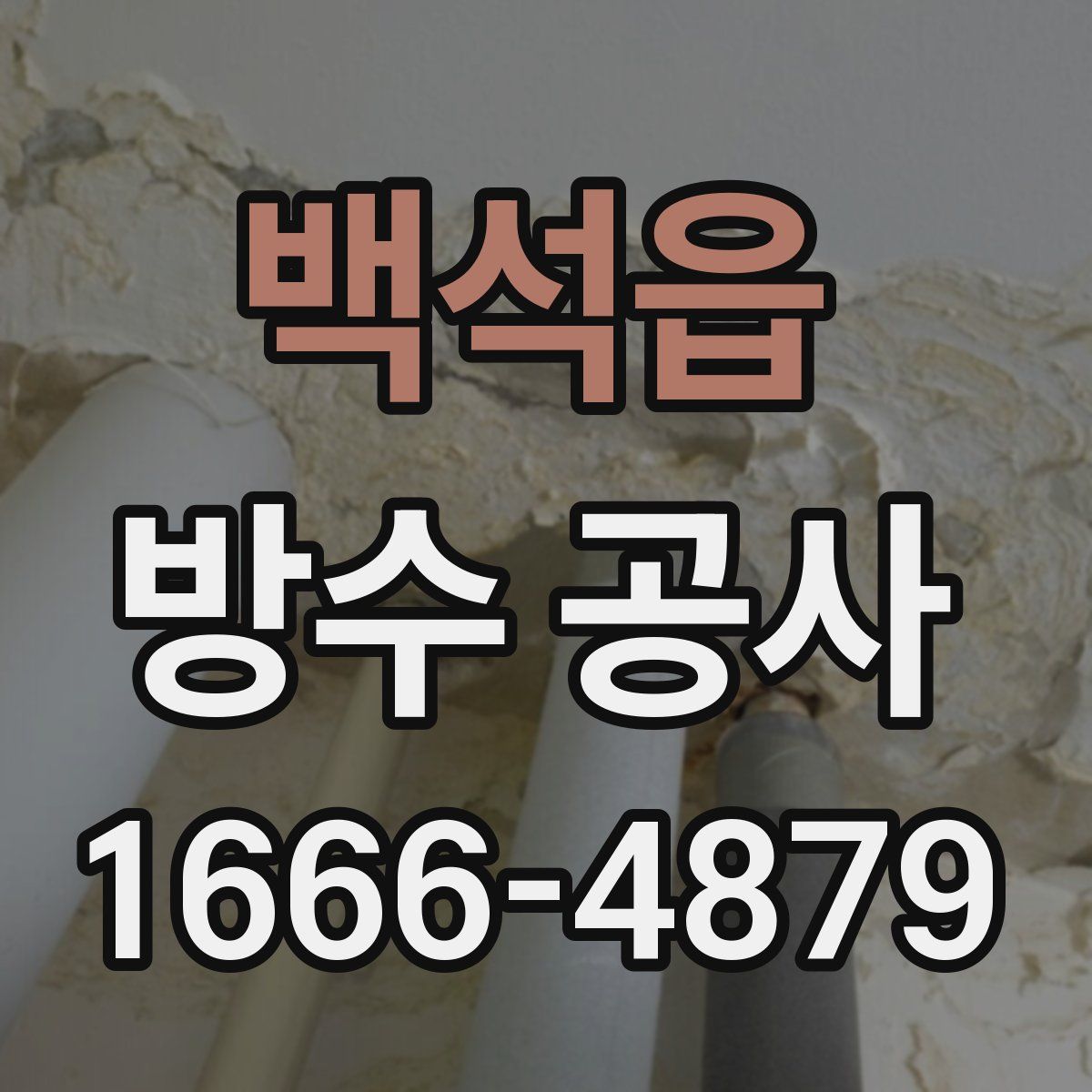 백석읍 방수 공사