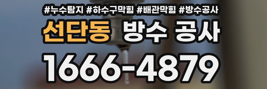 선단동 방수 공사