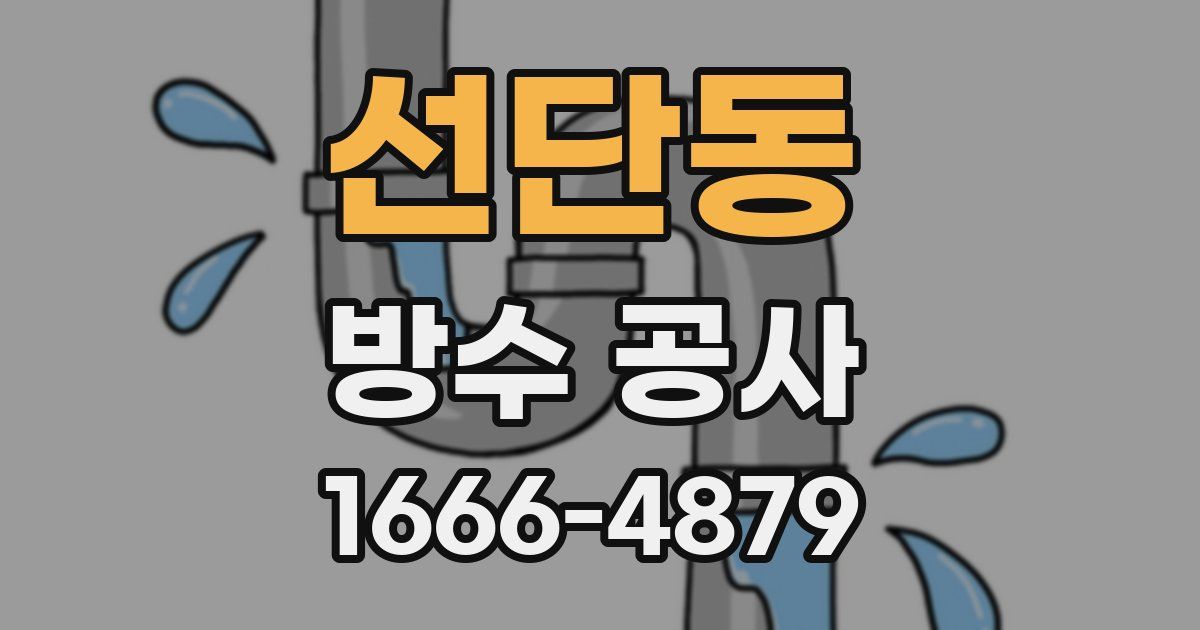 선단동 방수 공사
