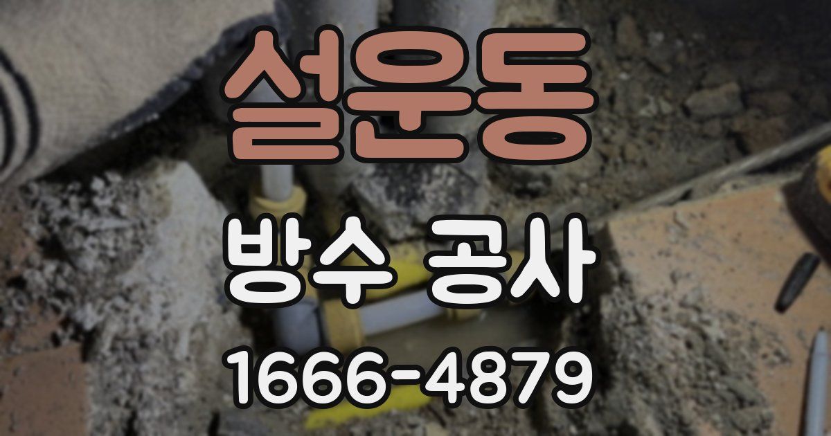 설운동 방수 공사
