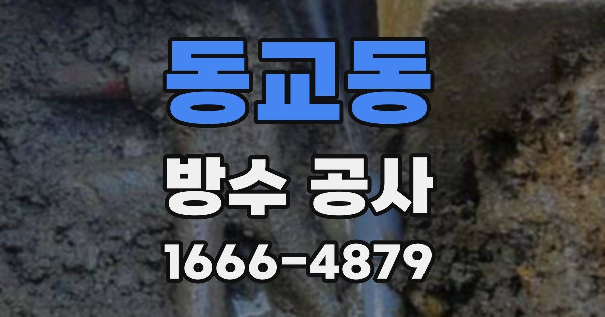 동교동 방수 공사