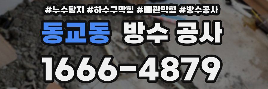동교동 방수 공사