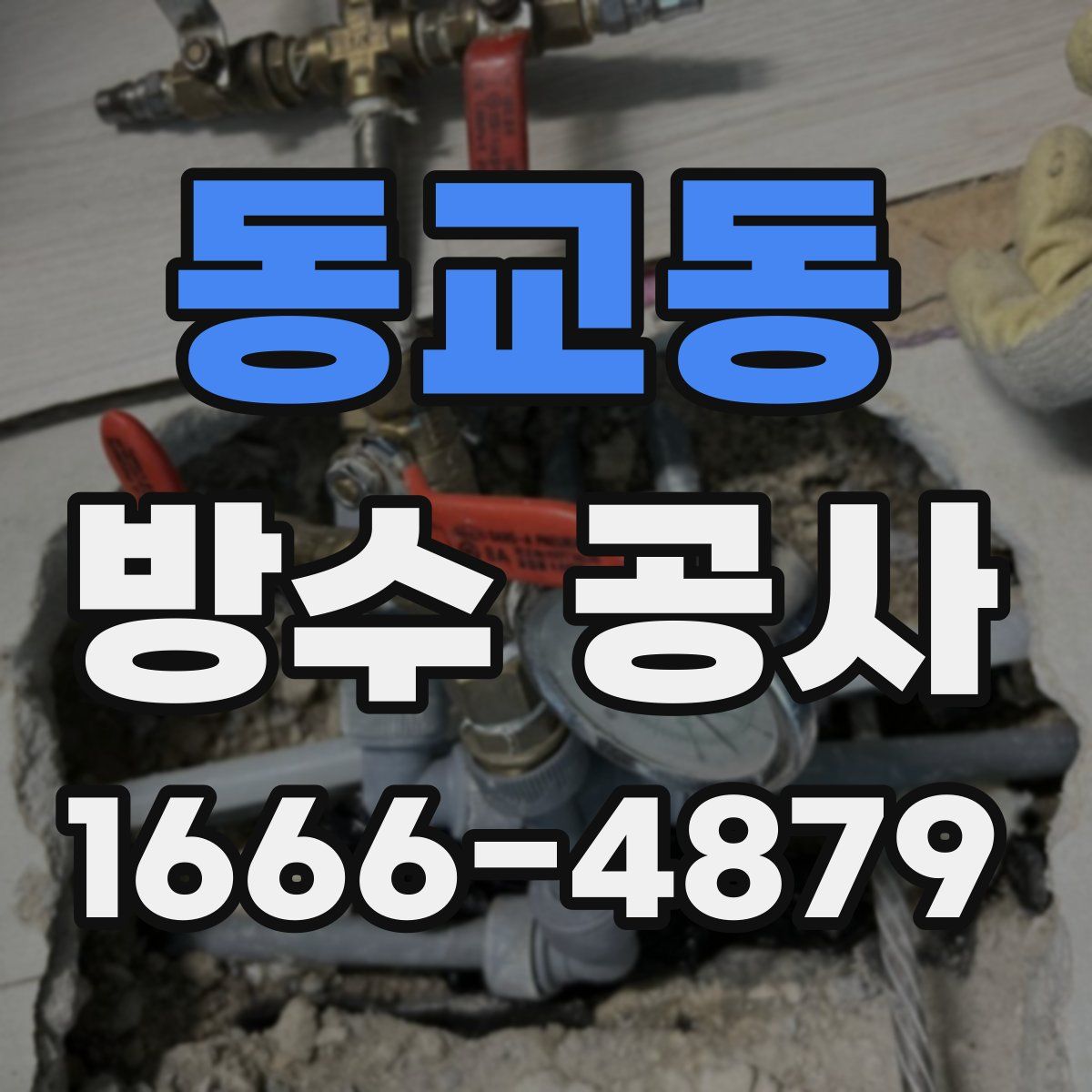 동교동 방수 공사