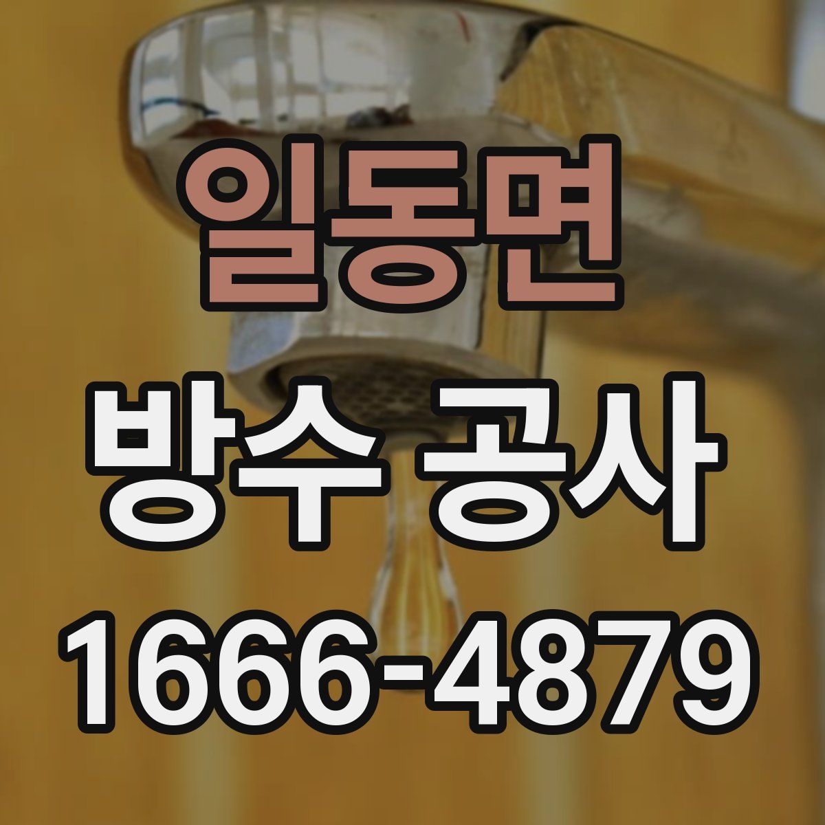 일동면 방수 공사