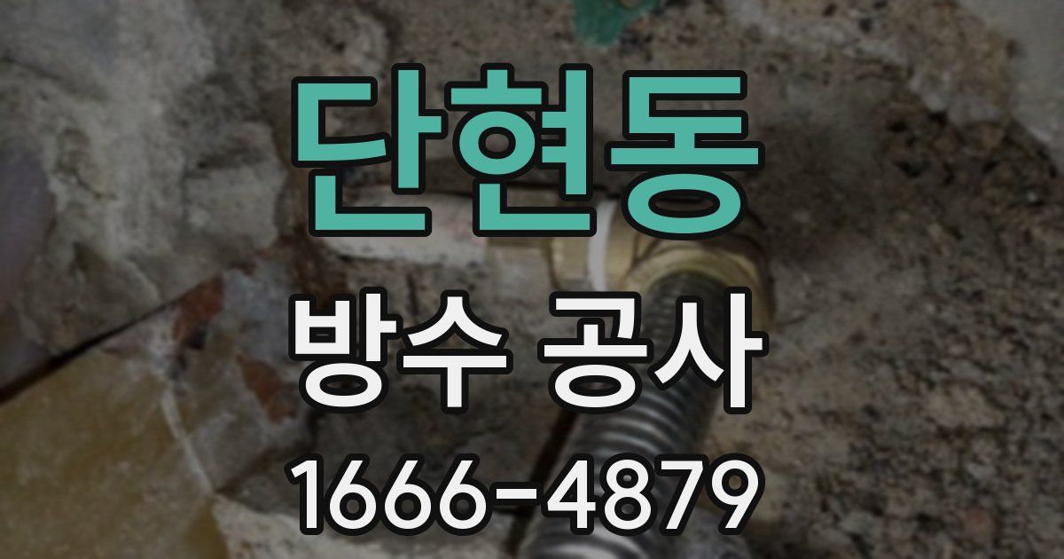 단현동 방수 공사