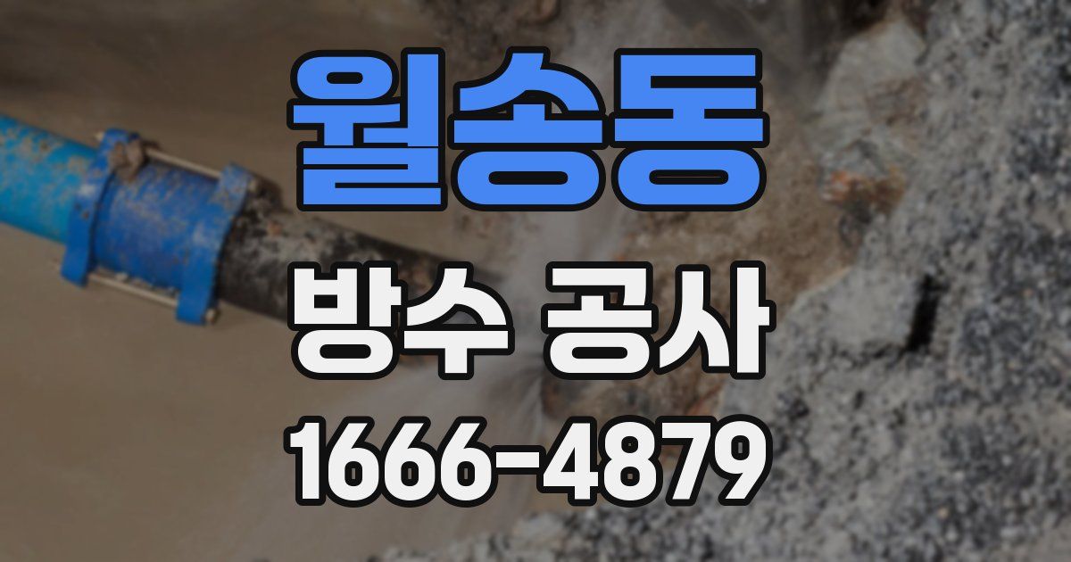 월송동 방수 공사