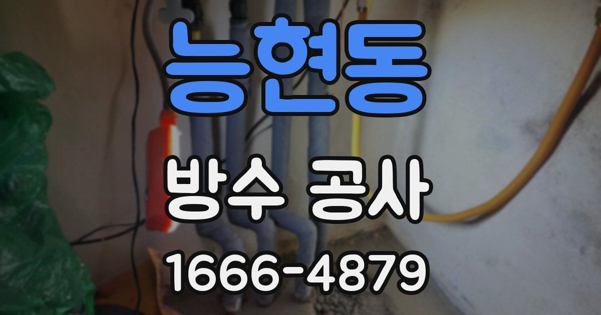 능현동 방수 공사