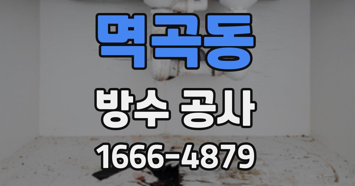 멱곡동 방수 공사