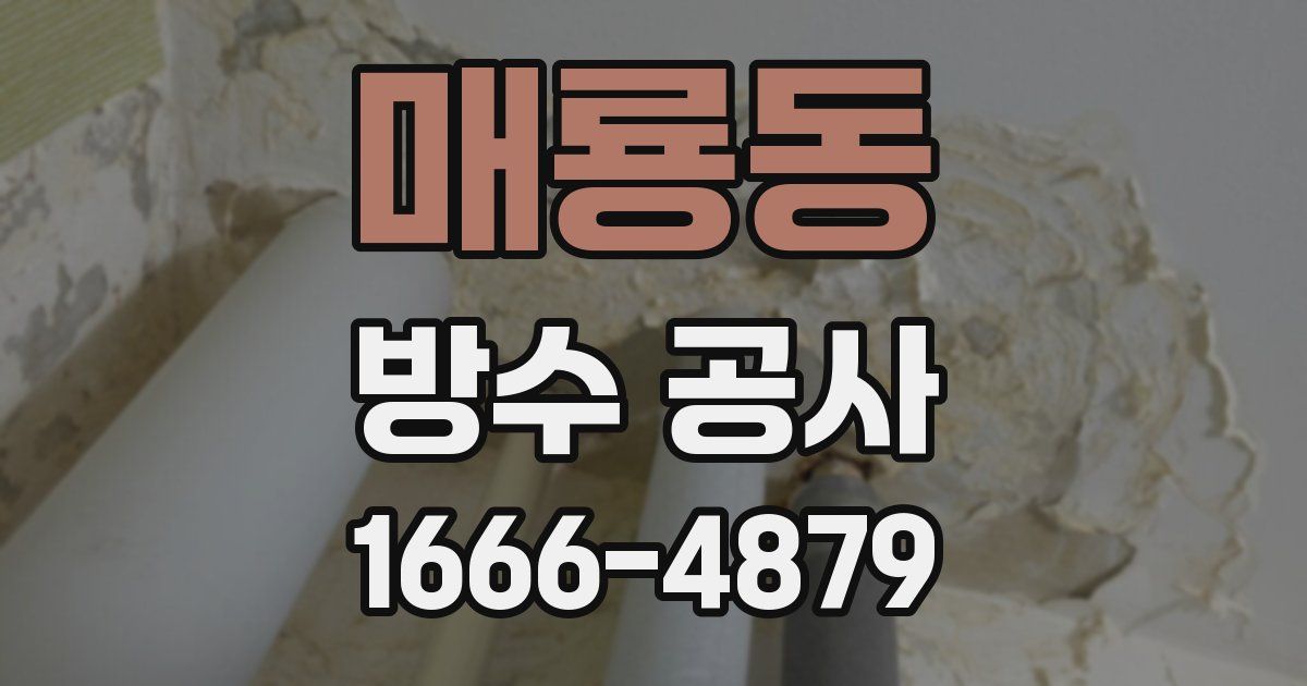 매룡동 방수 공사
