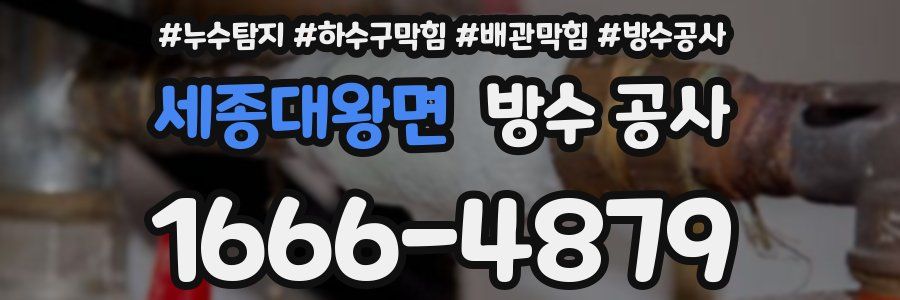 세종대왕면 방수 공사