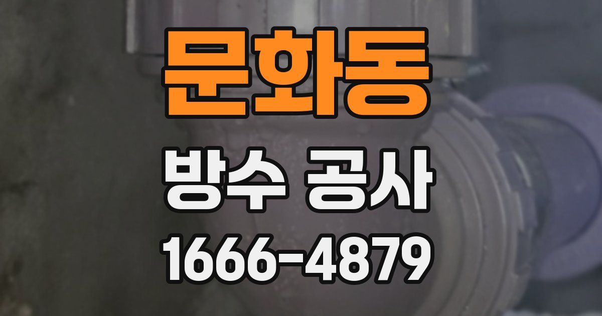 문화동 방수 공사